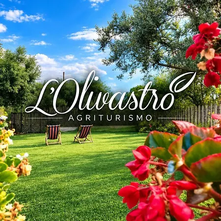 L'olivastro ファームステイ